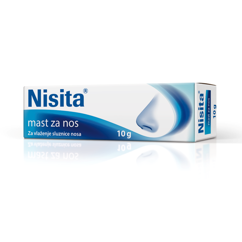 NISITA mast              10g ENG